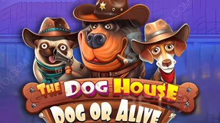 Dog or Alive — слот с новыми собаками и будками